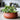 Kew Handthrown Burnt Umber Terracotta Statement Bowl – 2 Sizes