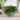 Kew Gardens Stoneware Olive Sago Palm Bowl Planter - 24cm