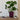 Ivyline Lecce Speckled Ceramic Planter – Plum