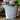 Ivyline H28cm Ribbed Galvanised Planter