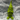 Bright Green "Heart Hands" Gnome – Halloween Edition (Indoor & Outdoor)