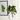 Kew Gardens Small Matte Brass Hanging Planter with Hook - 14cm