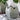 KewGardens Flower Planter Pistachio Green - H24cm x D24cm