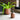 Kew Gardens Matte Copper Plant Mister - 14cm