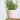 Individual Pink Old Style Dutch Pots - Choose Your Design - Grand Illusions