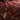 Shiraz Runner Burgundy 33cm x 230cm