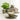 Dinnerware Set – 4, 6 or 8 Place Settings, Green
