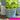 Old Style Dutch Pot – Teal – Single Pot - Grand Illusions