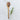 Acacia Wooden Spoon – Grand Illusions