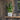 Tivoli Planter – Earth Finish Rounded Waterproof Pot for Indoor Foliage (26cm)